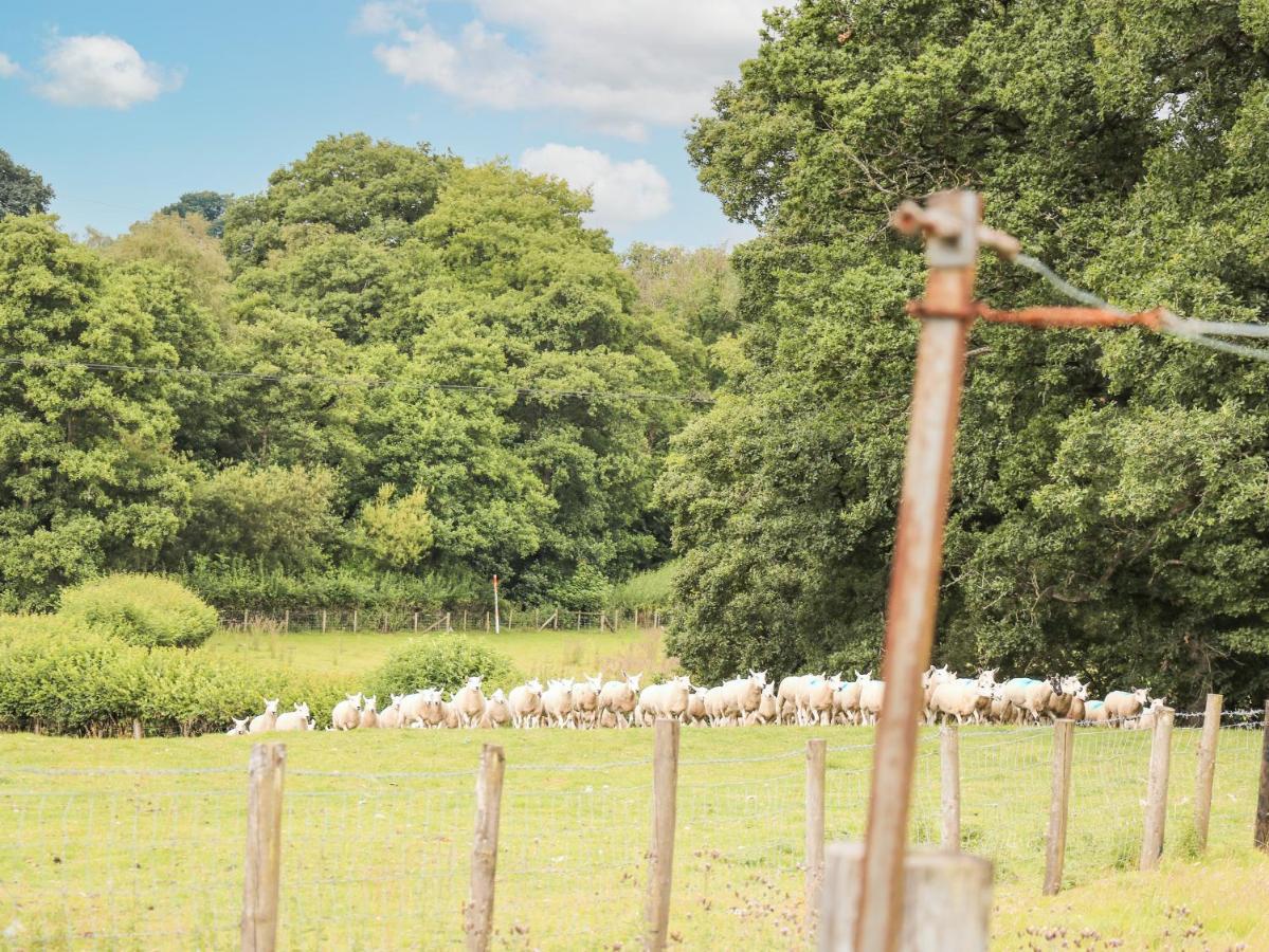 Holly Farm Cottage Newbridge on Wye Luaran gambar